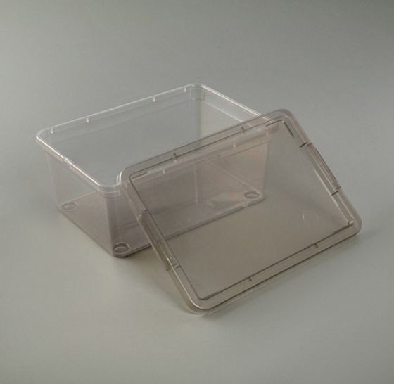 Коробка для хранения MYSTERY 5.5л