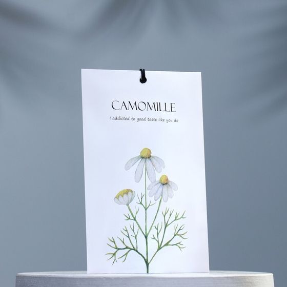 Саше ароматическое &quot;Camomille&quot;, ромашка, 11 г