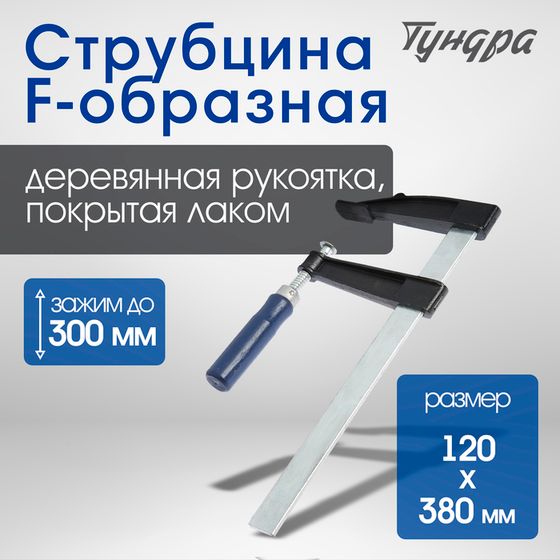 Струбцина F-образная ТУНДРА, 300 х 120 х 380 мм