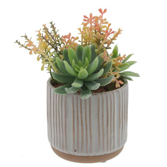 Цветочная композиция &quot;Суккуленты&quot;, L14 W14 H20 см