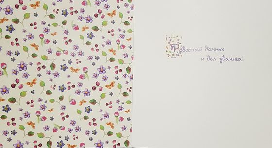 !09 ОТКРЫТКА (набор 2 штуки) "Радостей дачных и дел удачных" 18x18 см. + конверт