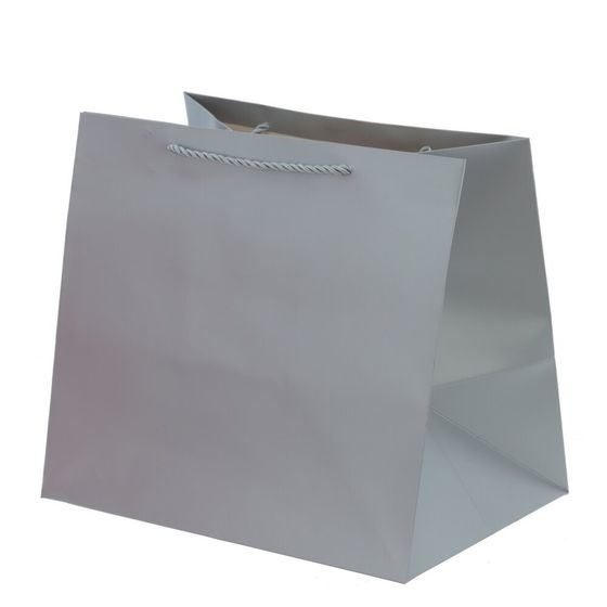 Пакет подарочный (бумага 230г/м2, блок 12шт), L28 W20 H25 см, 5в.