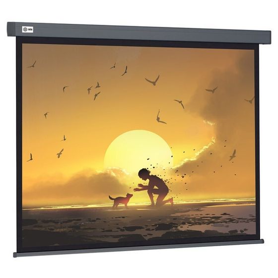 Экран Cactus 124.5x221см CS-PSW-124X221-SG, 16:9, настенно-потолочный, рулонный, серый