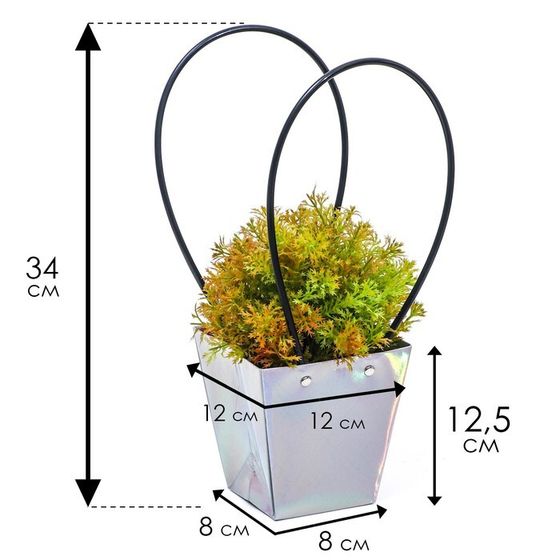 Сумка для цветов «Голографическая», влагостойкая, 12 x 12 - 8 x 8 - 12,5 см