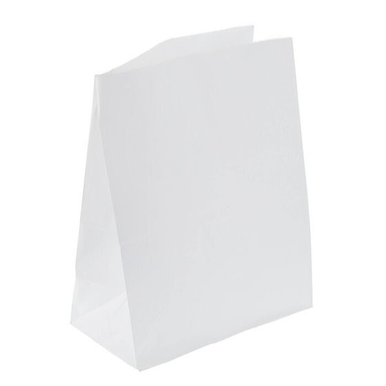 Пакет крафт бумажный фасовочный, прямоугольное дно 26 х 15 х 34 см 5 штук