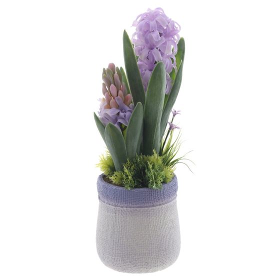 Цветочная композиция "Гиацинты" , L11 W10 H28 см