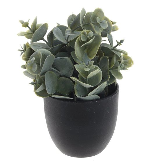 Цветочная композиция, L8 W8 H14 см, 3в.