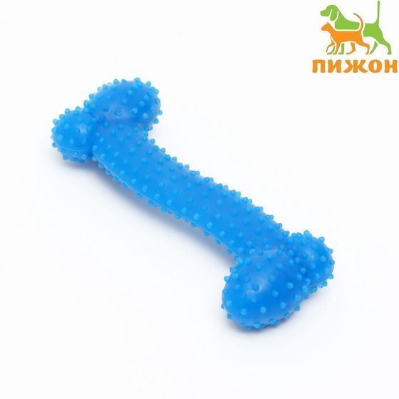 Игрушка жевательная суперпрочная &quot;Любимое лакомство&quot;, 11 см, голубая