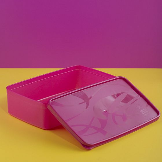 Контейнер для заморозки ALASKA 2.1л фуксия