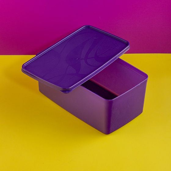 Контейнер для заморозки ALASKA 3.5л фиолетовый