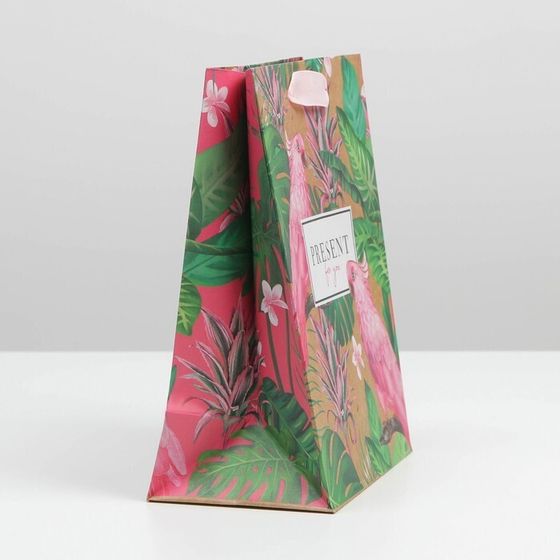 !Пакет крафтовый 2 штуки вертикальный Present for you, MS 18 × 23 × 8 см.