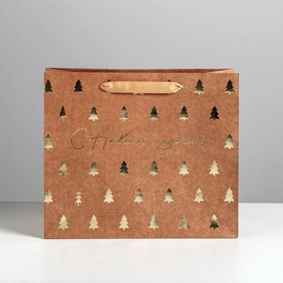 !09 Пакет крафтовый(набор 3 штуки) горизонтальный «Ёлочки», ML 27 x 23 x 11.5 см.