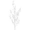 Изделие декоративное &quot;Ветка&quot;, L20 W20 H73 см