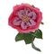 Цветок искусственный &quot;Роза&quot;, L13 W9 H60 см