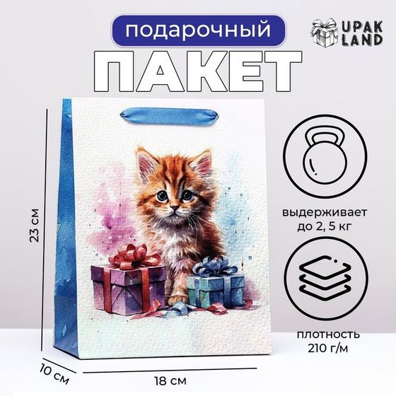 Пакет ламинированный вертикальный «Котенок», 18×23×10 см