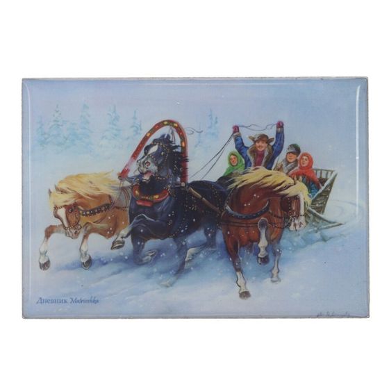 Магнит, L7 W0,5 H5 см, 4в.