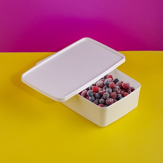 Контейнер для заморозки ALASKA 2.1л белый