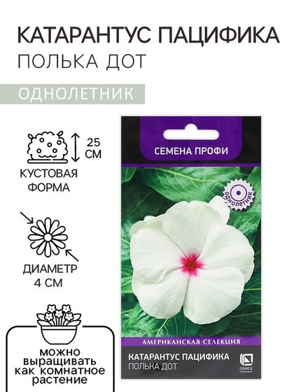 Семена цветов Катарантус Пацифика  &quot;Полька Дот&quot; 10 шт
