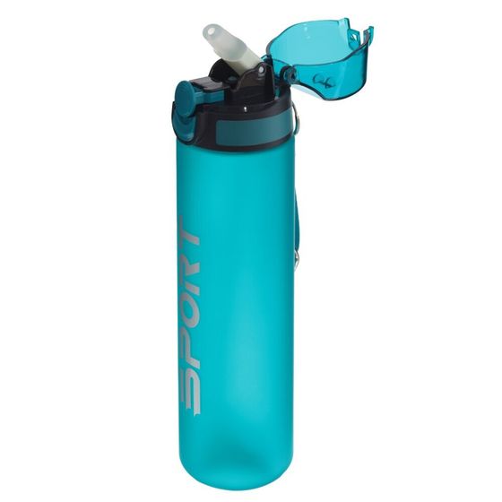 Бутылка, 800 мл, L7 W7 H26 см, дизайн микс