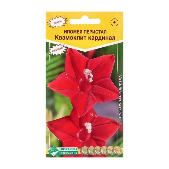 Семена цветов Ипомея перистая квамоклит &quot;Кардинал&quot;, 10 шт