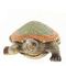 Фигурка декоративная "Черепаха", L14,5 W10,5 H5 см