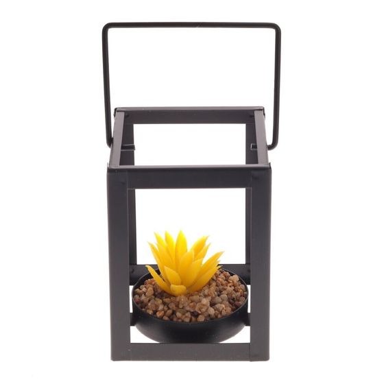 Цветочная композиция &quot;Суккулент&quot;, L8,5 W8,5 H10,5 см