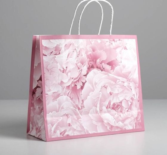 !09 НАБОР 2 ШТУКИ - Пакет крафтовый «Dreams», 26 × 30 × 11,5 см.