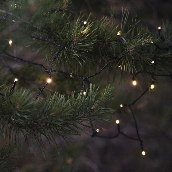 !09 Гирлянда «Нить» 10 м, IP44, УМС, тёмная нить, 100 LED, свечение тёплое белое, 220 В