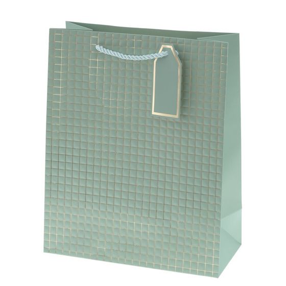 Пакет подарочный (бумага 210г/м2, блок 12шт), L26 W12 H32 см, 14в.