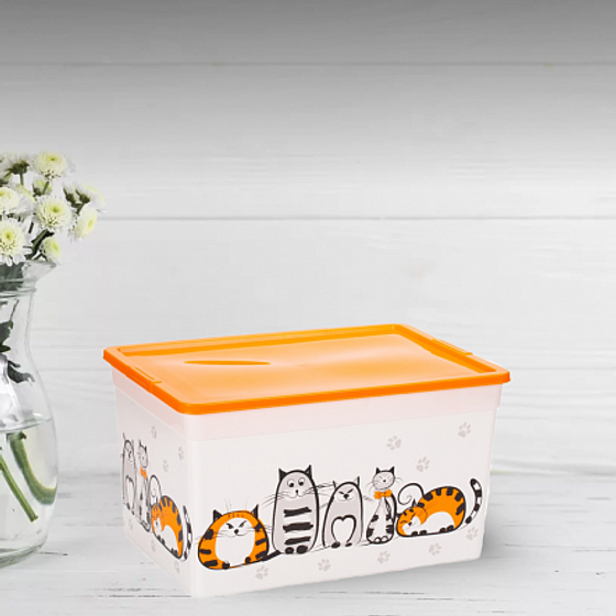 Коробка CATS 16л прямоугольная