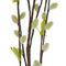 Ветка искусственная &quot;Верба&quot;, L16 W6 H92 см