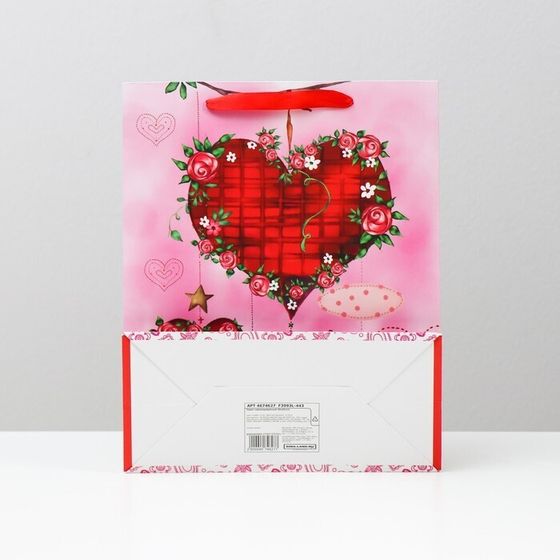 Пакет ламинированный, 26 x 32 x 12 см (2 штуки)