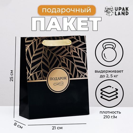 Пакет ламинированный вертикальный &quot;Подарок&quot;, 21 х 25 х 8 см