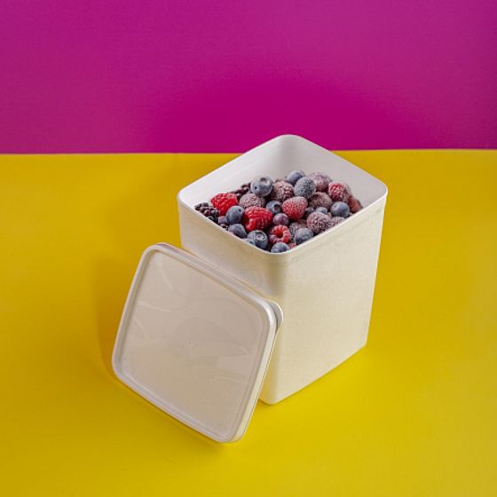 Контейнер для заморозки ALASKA 2л белый