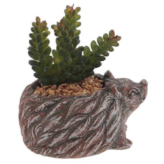 Цветочная композиция &quot;Суккулент&quot;, L14 W12 H12 см, 4в.