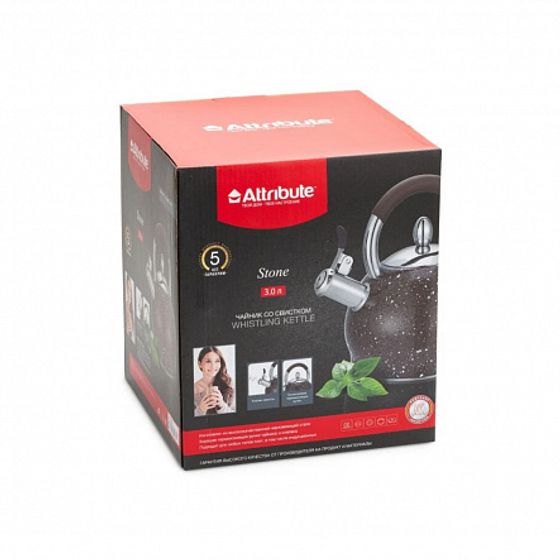 Чайник со свистком STONE 3л