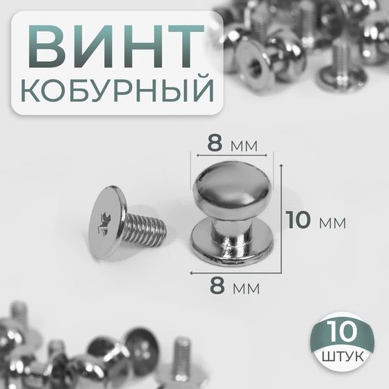 Кобурный винт d = 8/8 × 10 мм, 10 шт, цвет серебряный