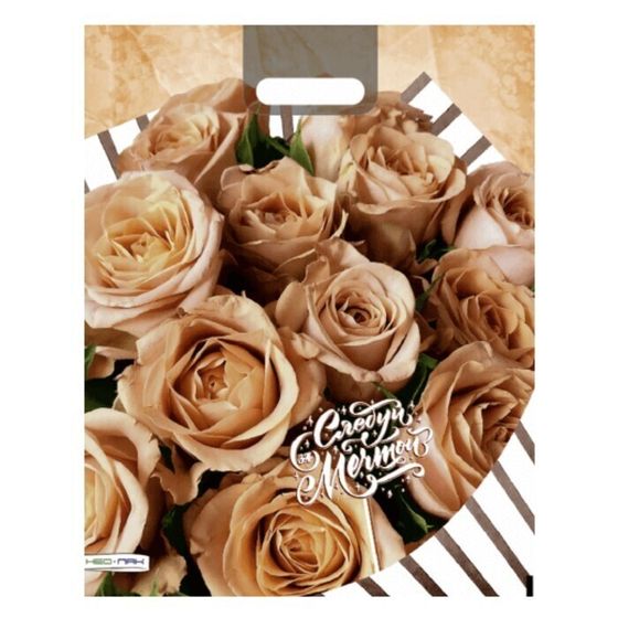 !09 Пакет &quot;Следуй за мечтой&quot;, (набор 12 штук) полиэтиленовый, с вырубной ручкой, 38 х 47 см, 60 мкм .