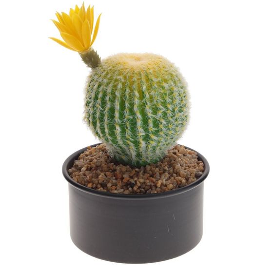 Цветочная композиция &quot;Кактус&quot;, L13 W13 H20 см