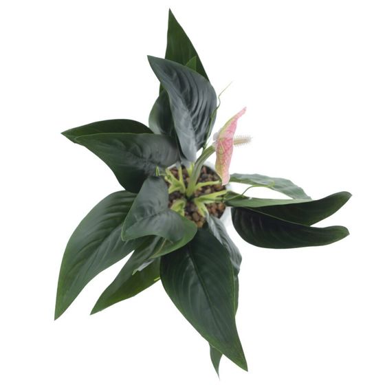 Цветочная композиция "Спатифиллум", L17 W12 H40 см
