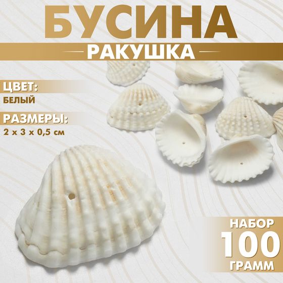 Бусины «Ракушка», 3×2 см, половинка, набор 100г, цвет белый