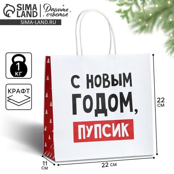 Пакет подарочный новогодний «С Новым годом, пупсик», 22 х 22 х 11 см , Новый год