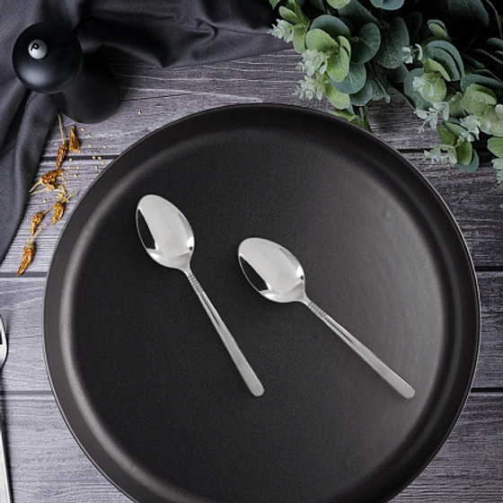 Ложка чайная ROMA 2шт