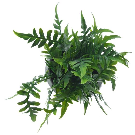 Цветочная композиция, L12,5 W12,5 H30 см