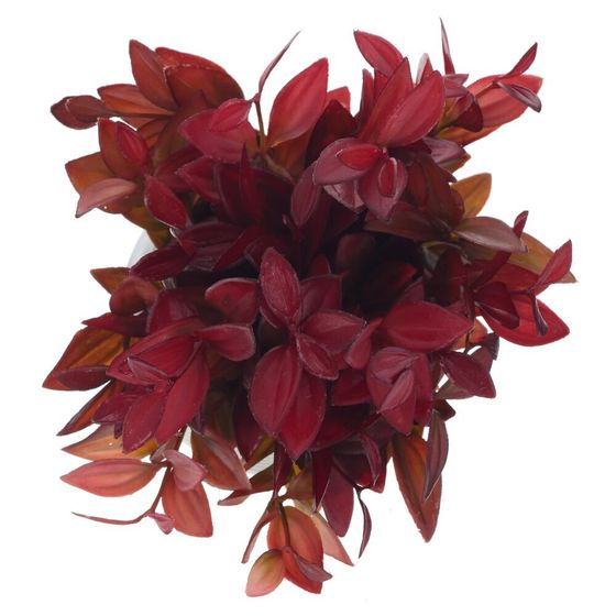 Цветочная композиция, L12 W12 H20 см, 4в.