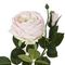 Цветок искусственный с каплями росы "Роза", L13 W14 H64 см