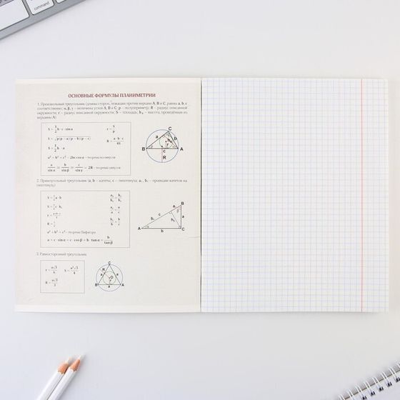 !Предметная тетрадь, 48 листов, 3 штуки «ИСТОРИЧЕСКИЕ ЛИЧНОСТИ», со справочными материалами «Геометрия»