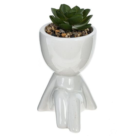 Цветочная композиция &quot;Суккулент&quot;, L8,5 W10 H13,5 см, 4в.