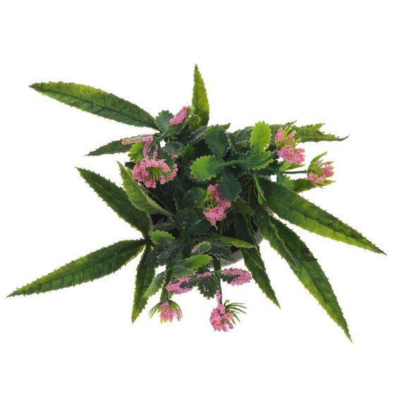 Цветочная композиция, L10 W10 H20 см, 3в.