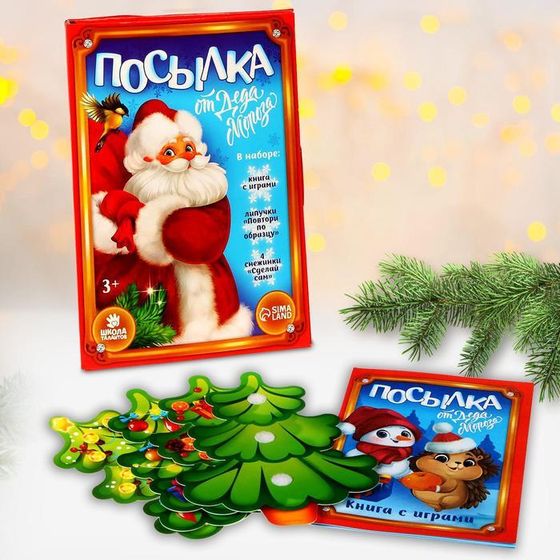 Развивающий набор с играми «Новый год! Посылка от Деда Мороза»